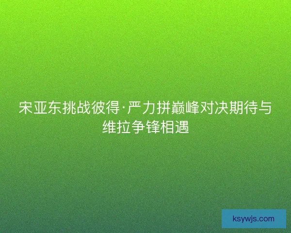 宋亚东挑战彼得·严力拼巅峰对决期待与维拉争锋相遇