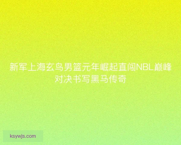 新军上海玄鸟男篮元年崛起直闯NBL巅峰对决书写黑马传奇